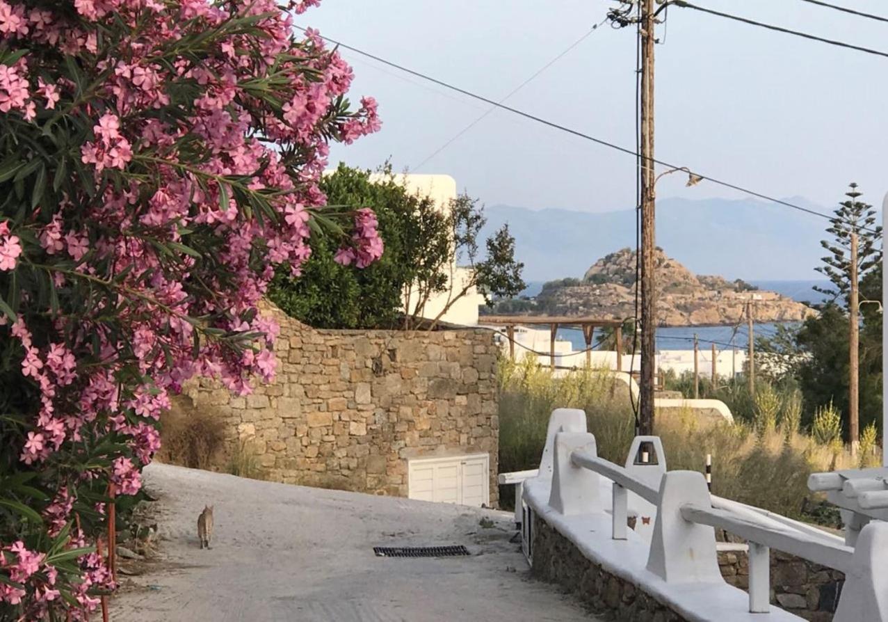 Klaras House - Photo 36