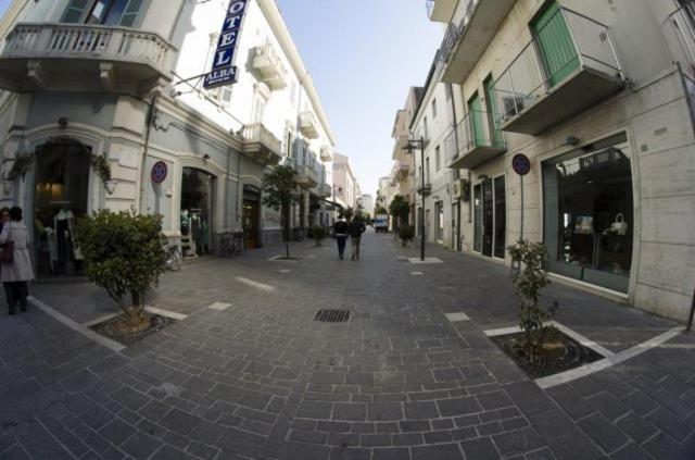 Hotel Alba - Photo 9