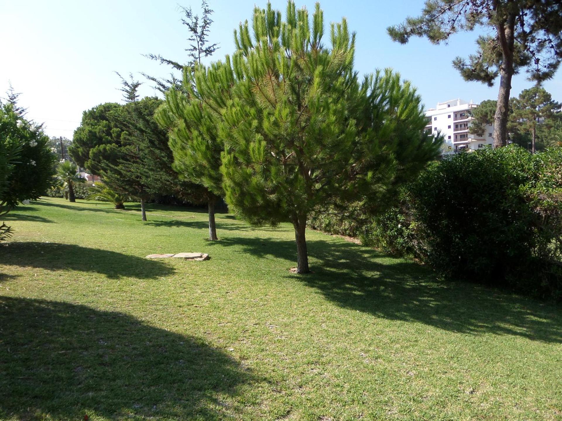 Aldeia Da Falesia - Photo 9