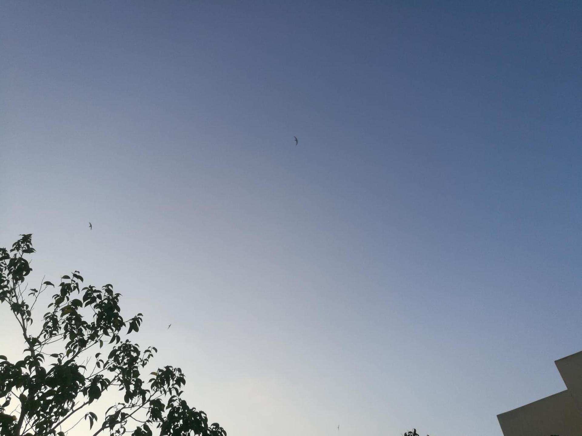 Roof-top garden apartment really well located in Athens - Photo 41