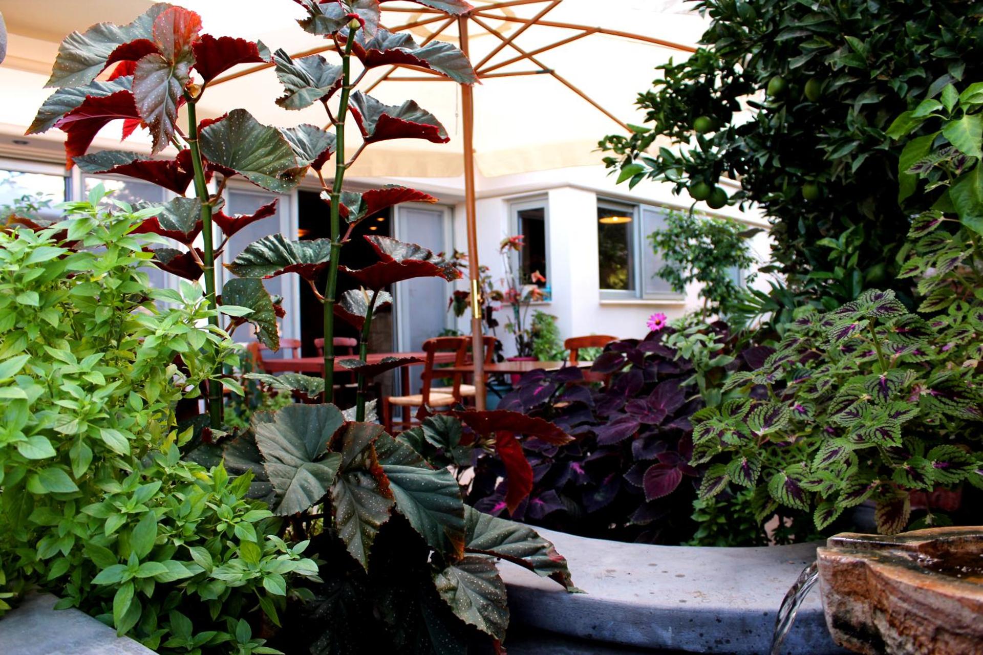 Philoxenia Hotel & Studios - Photo 68