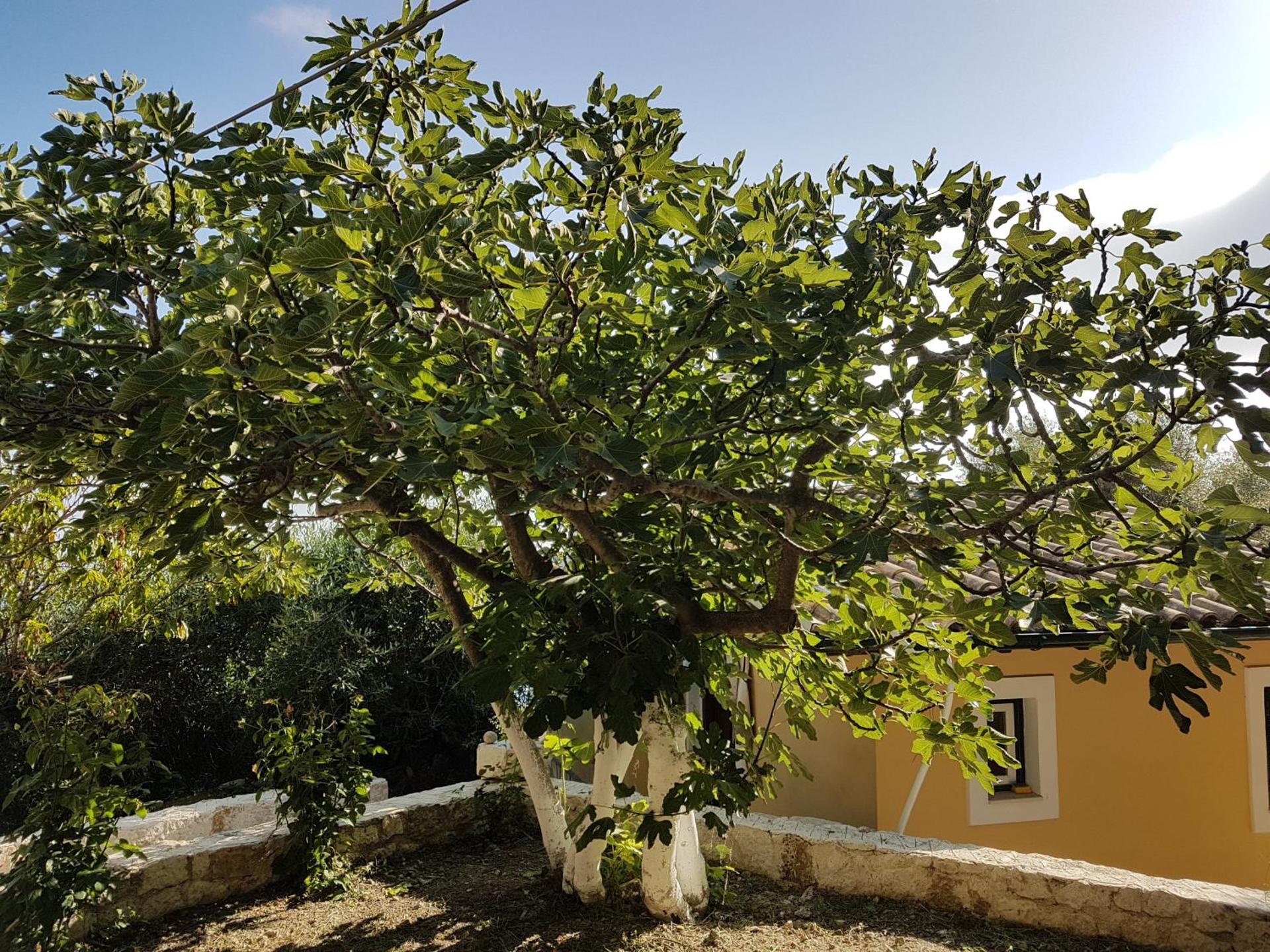 BOHALI'S HOUSE - Photo 22