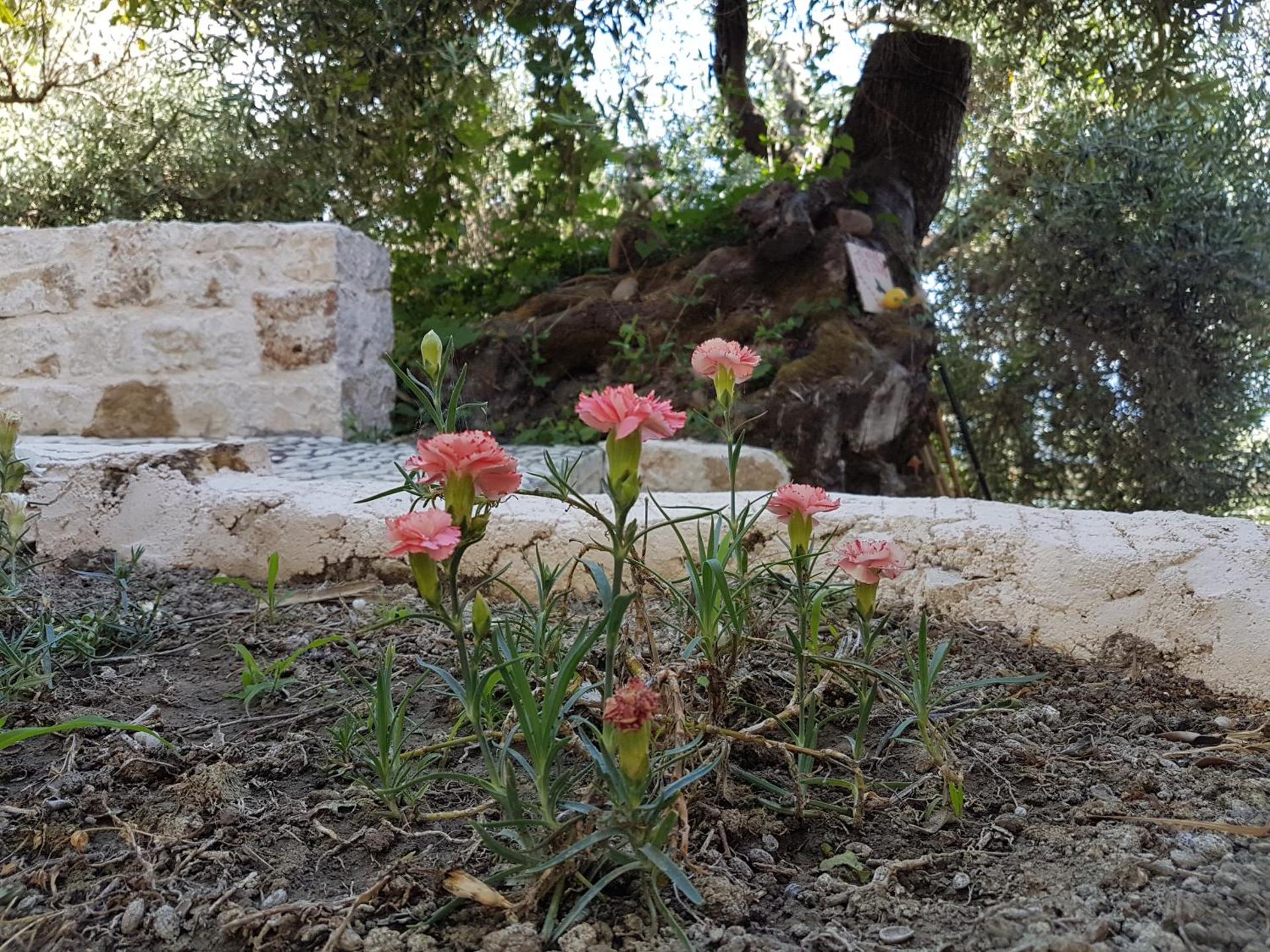BOHALI'S HOUSE - Photo 24