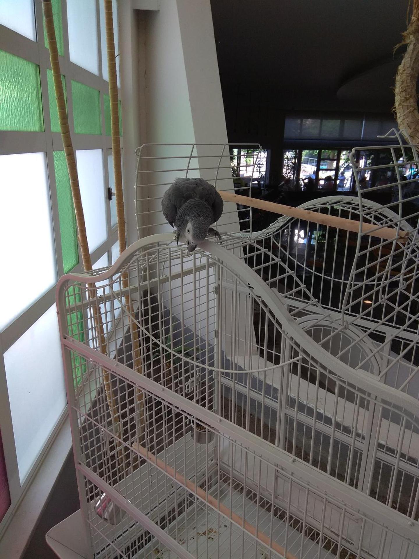 Maritina Hotel - Photo 11