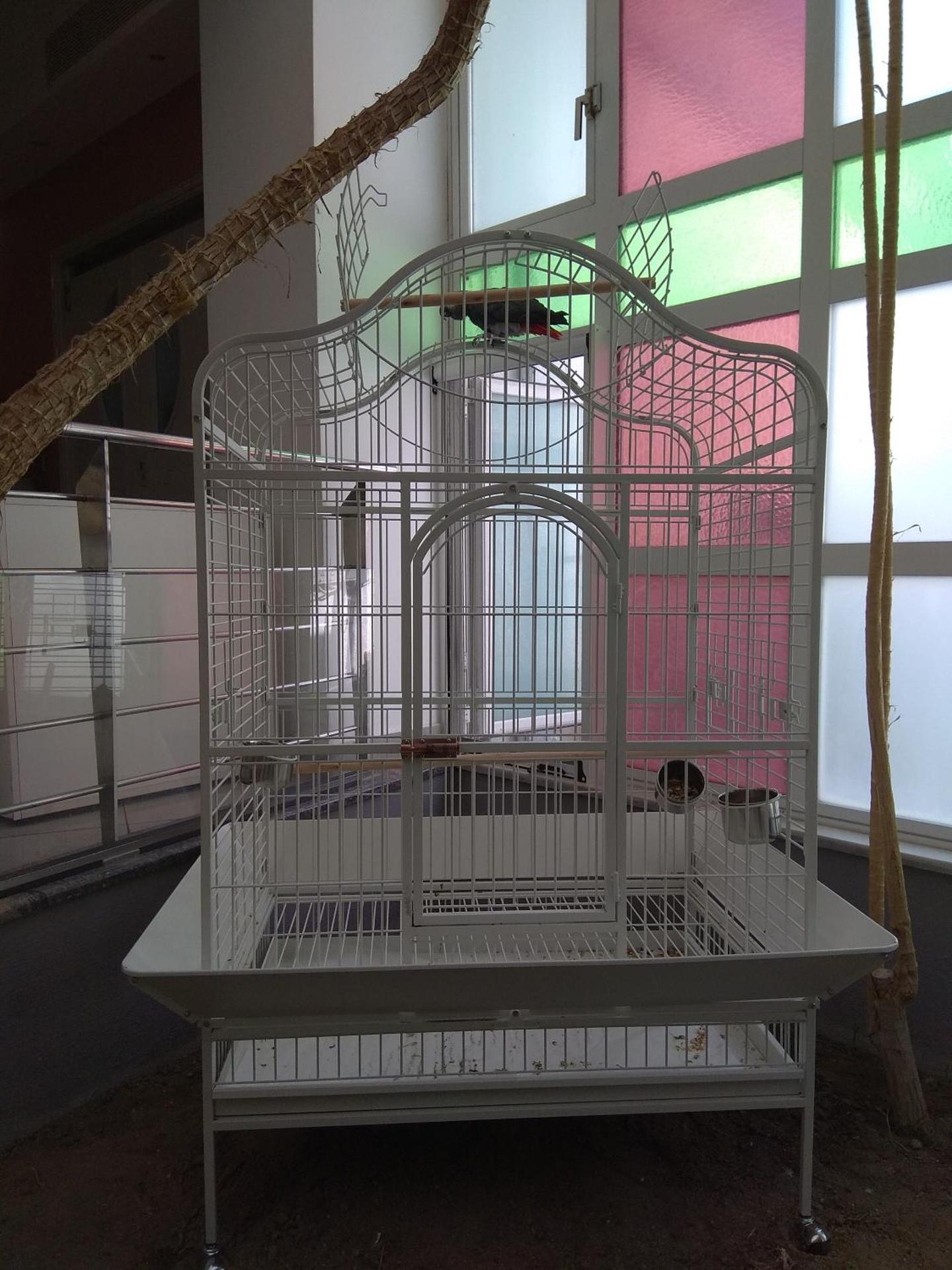 Maritina Hotel - Photo 12