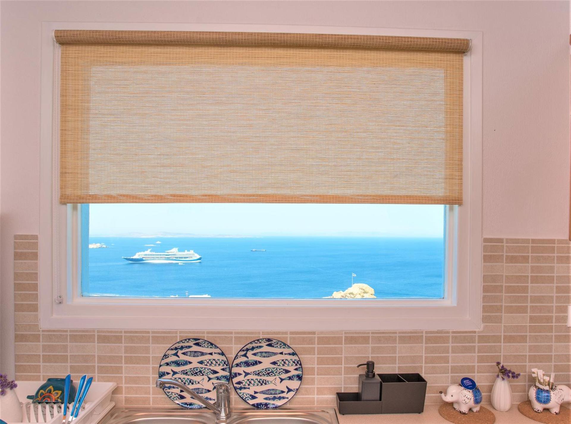 Sugar Blue - Photo 107