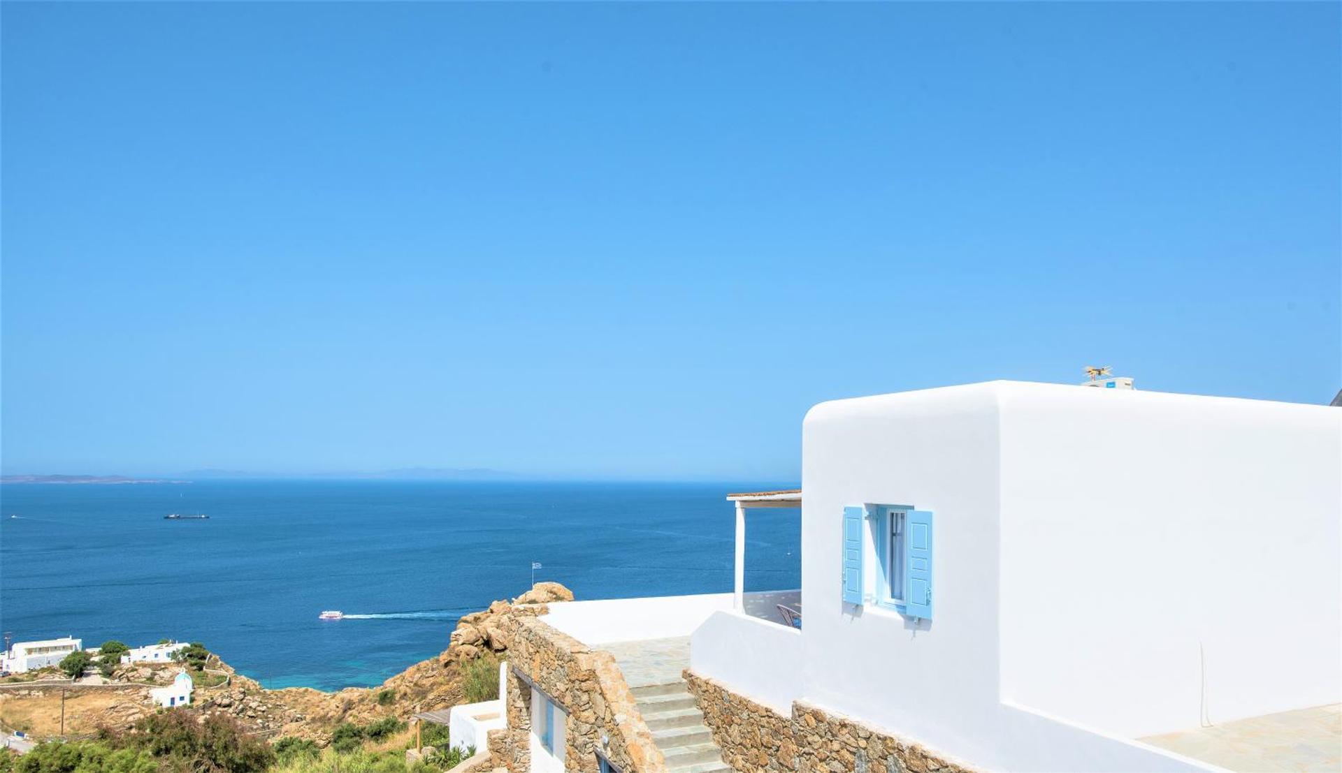 Sugar Blue - Photo 126