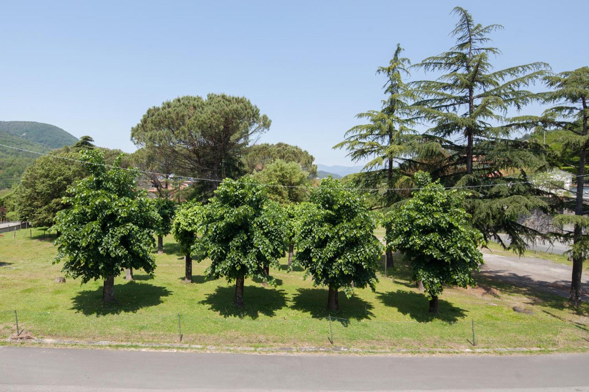 Hotel Nella - Photo 17