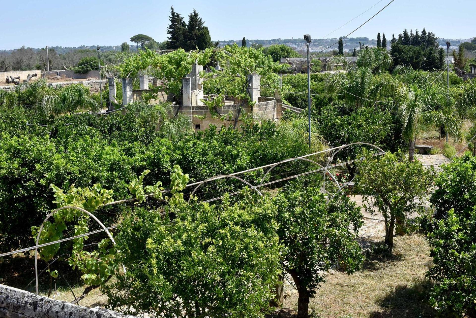 Agriturismo Santa Chiara - Photo 104