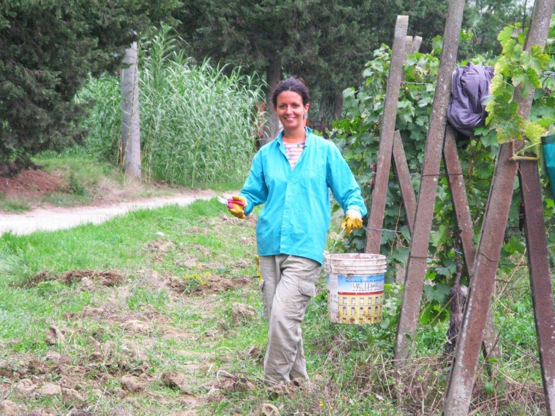 Agriturismo Martignana Alta - Photo 33