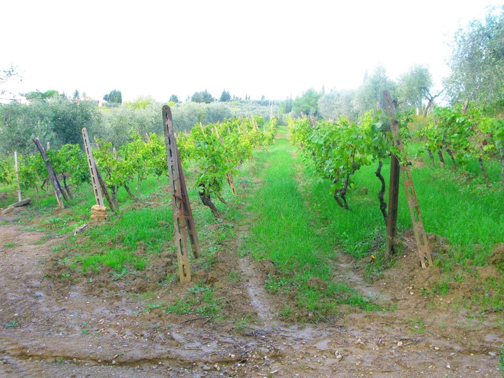 Agriturismo Martignana Alta - Photo 34