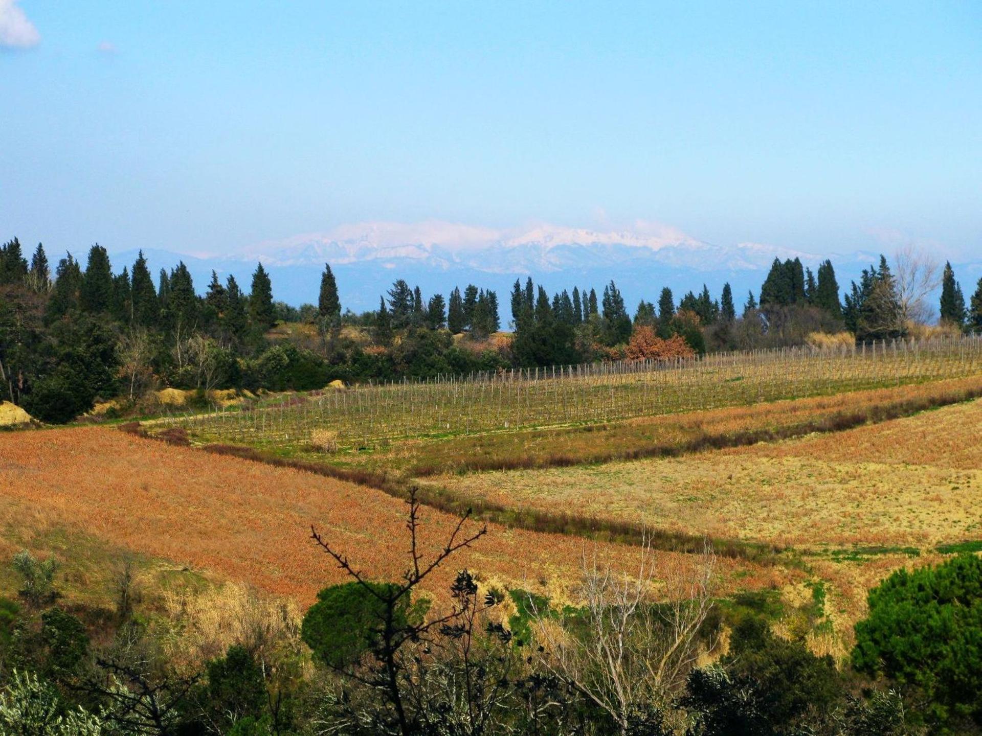 Agriturismo Martignana Alta - Photo 3