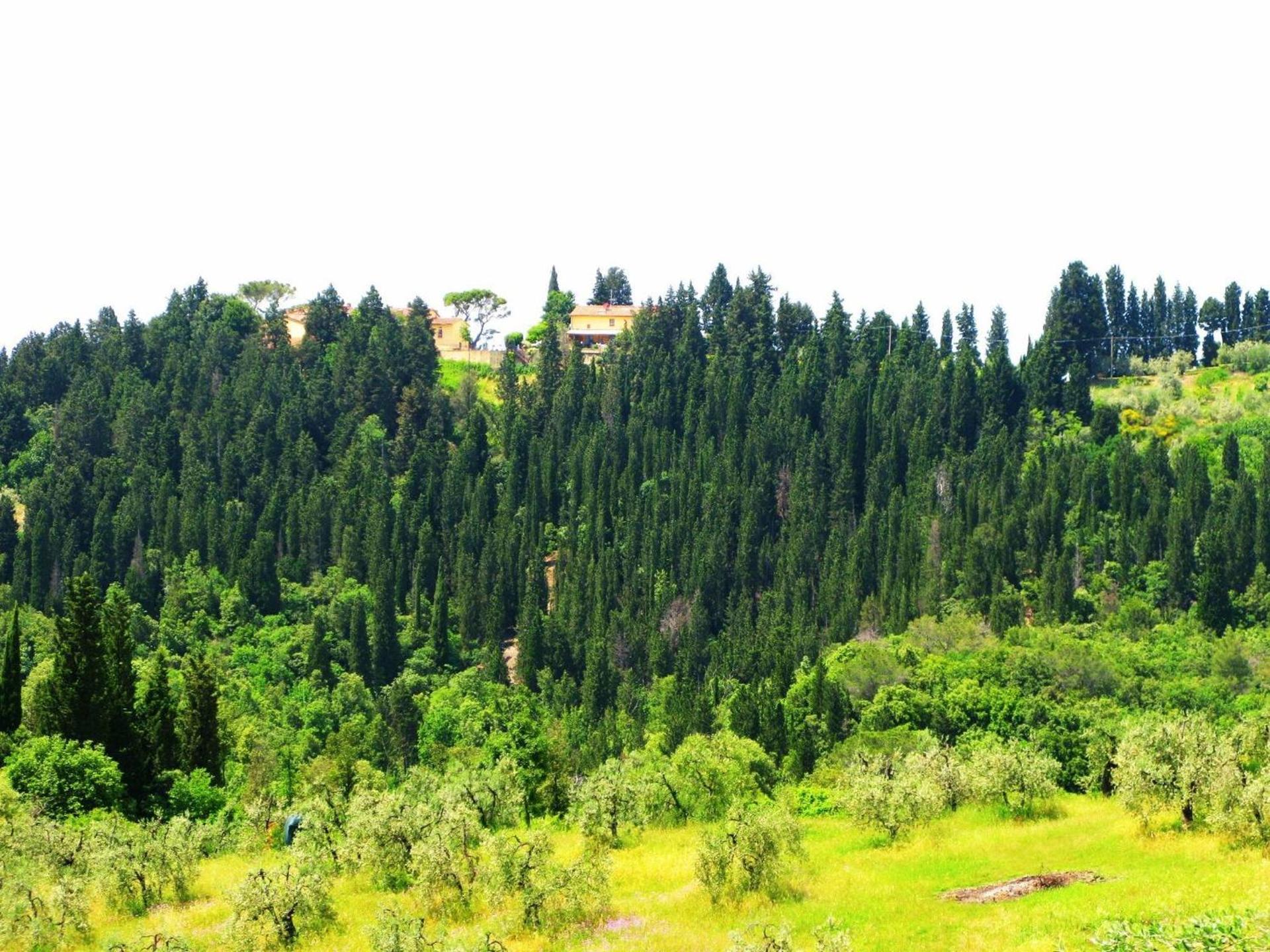 Agriturismo Martignana Alta - Photo 4