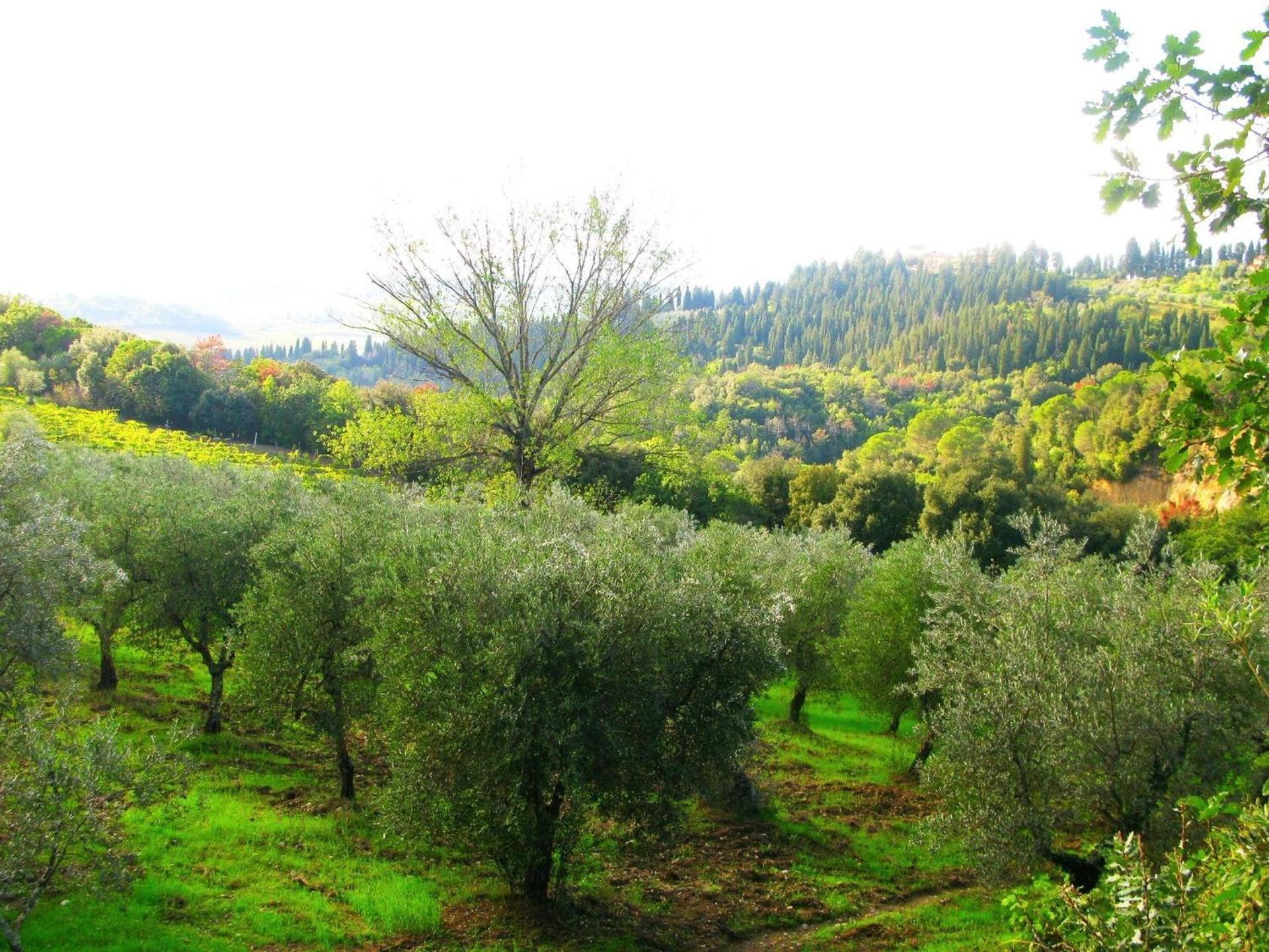 Agriturismo Martignana Alta - Photo 36