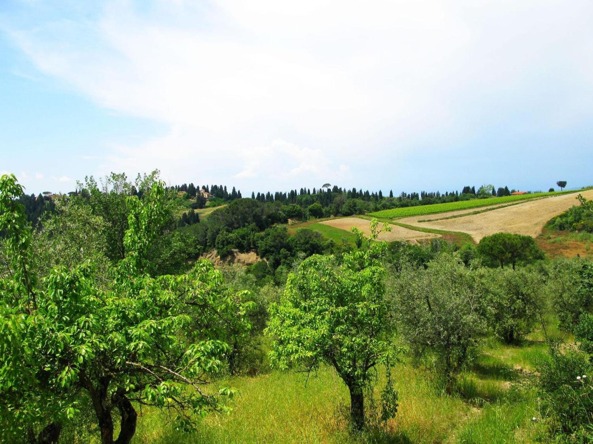Agriturismo Martignana Alta - Photo 37