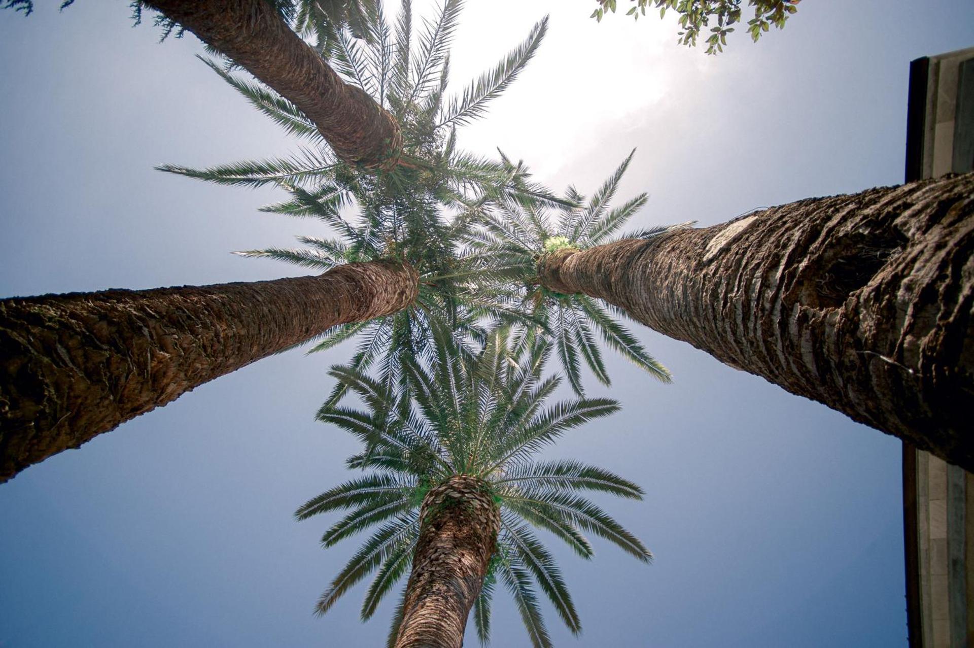 Relais Montepepe Winery & Spa - Photo 97