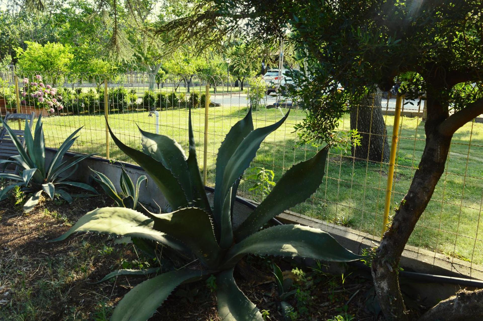 Villa Irene Pisticci-Matera - Photo 53