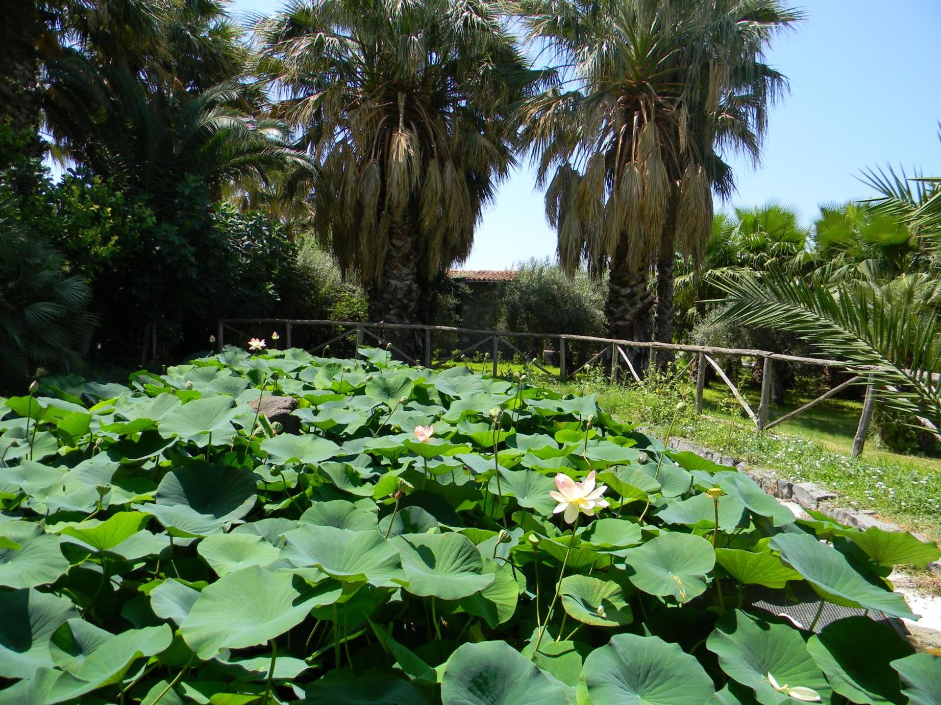 Agriturismo Gianferrante - Photo 116