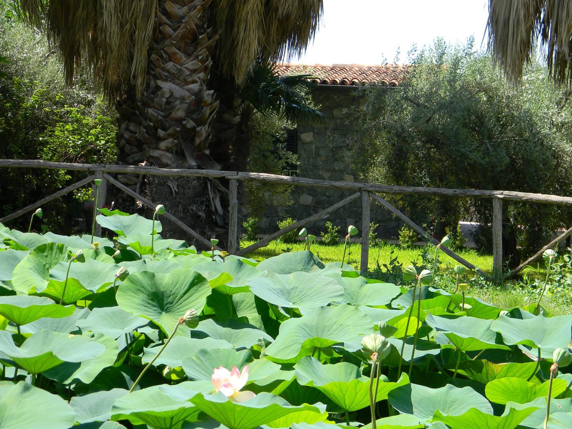 Agriturismo Gianferrante - Photo 80