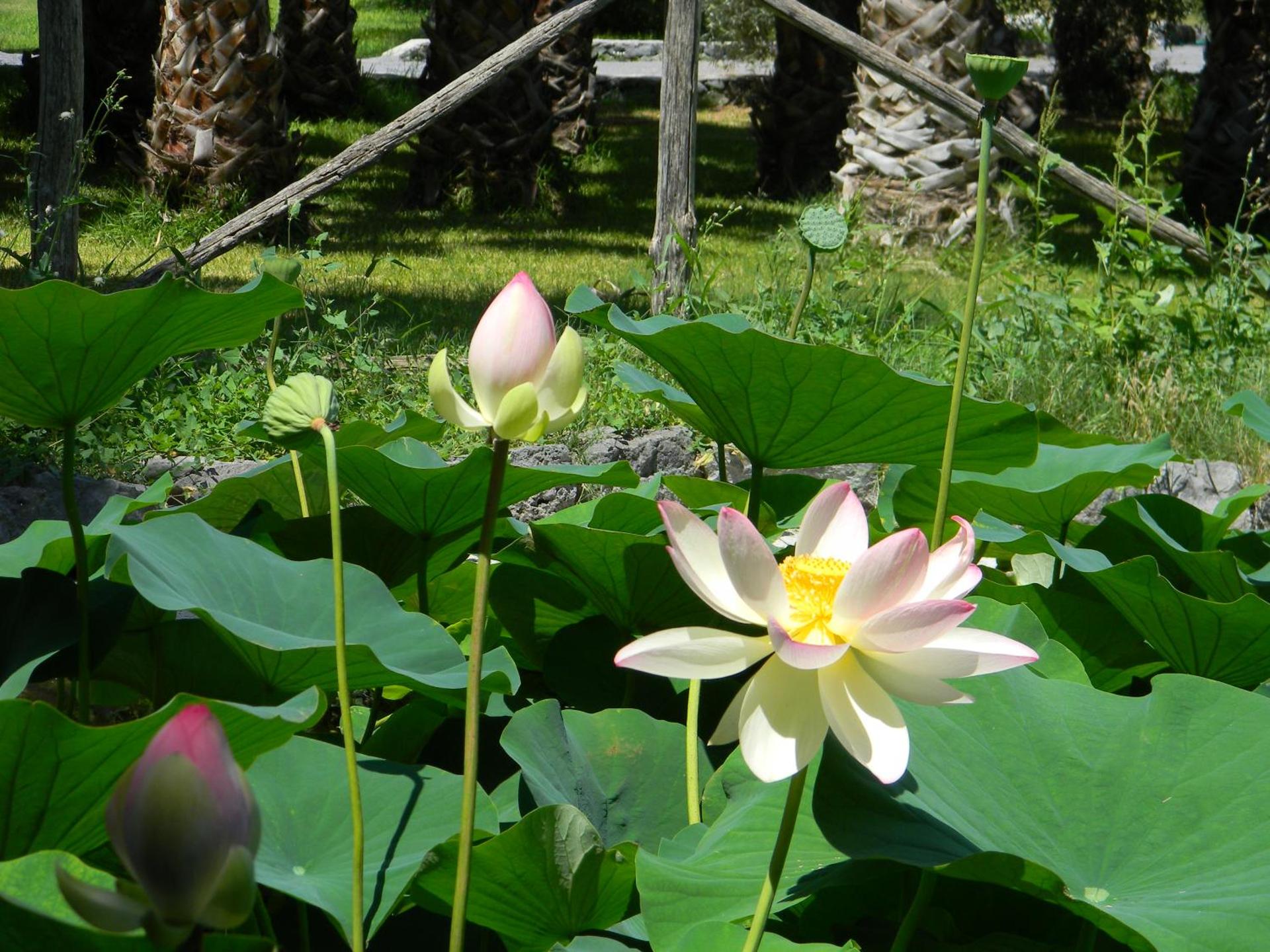 Agriturismo Gianferrante - Photo 79