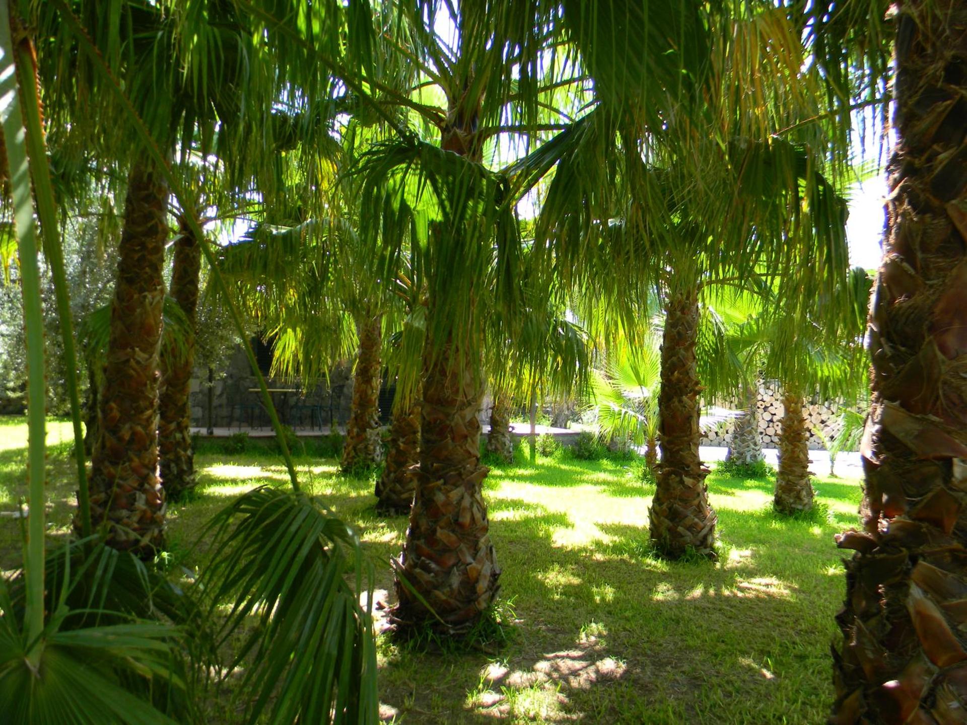 Agriturismo Gianferrante - Photo 81