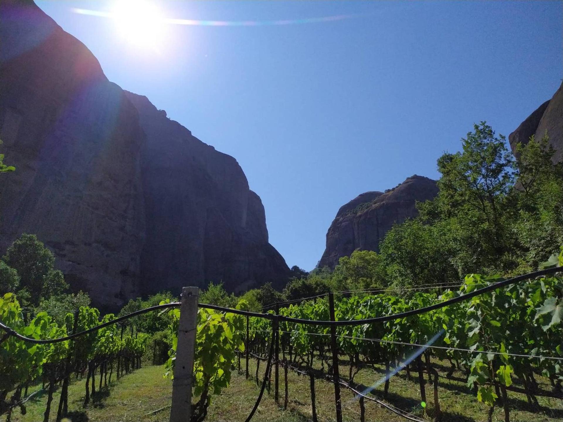 Tsikeli Boutique Hotel Meteora - Adults Friendly - Photo 227