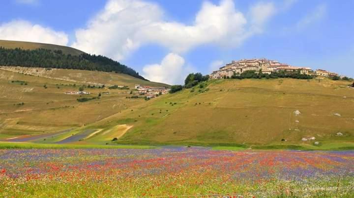 Villa delle Rose - Hotel Paradiso - Photo 50