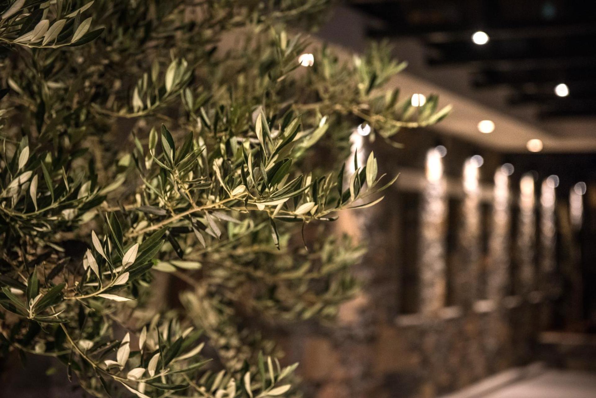 Petousis Hotel & Suites - Photo 14