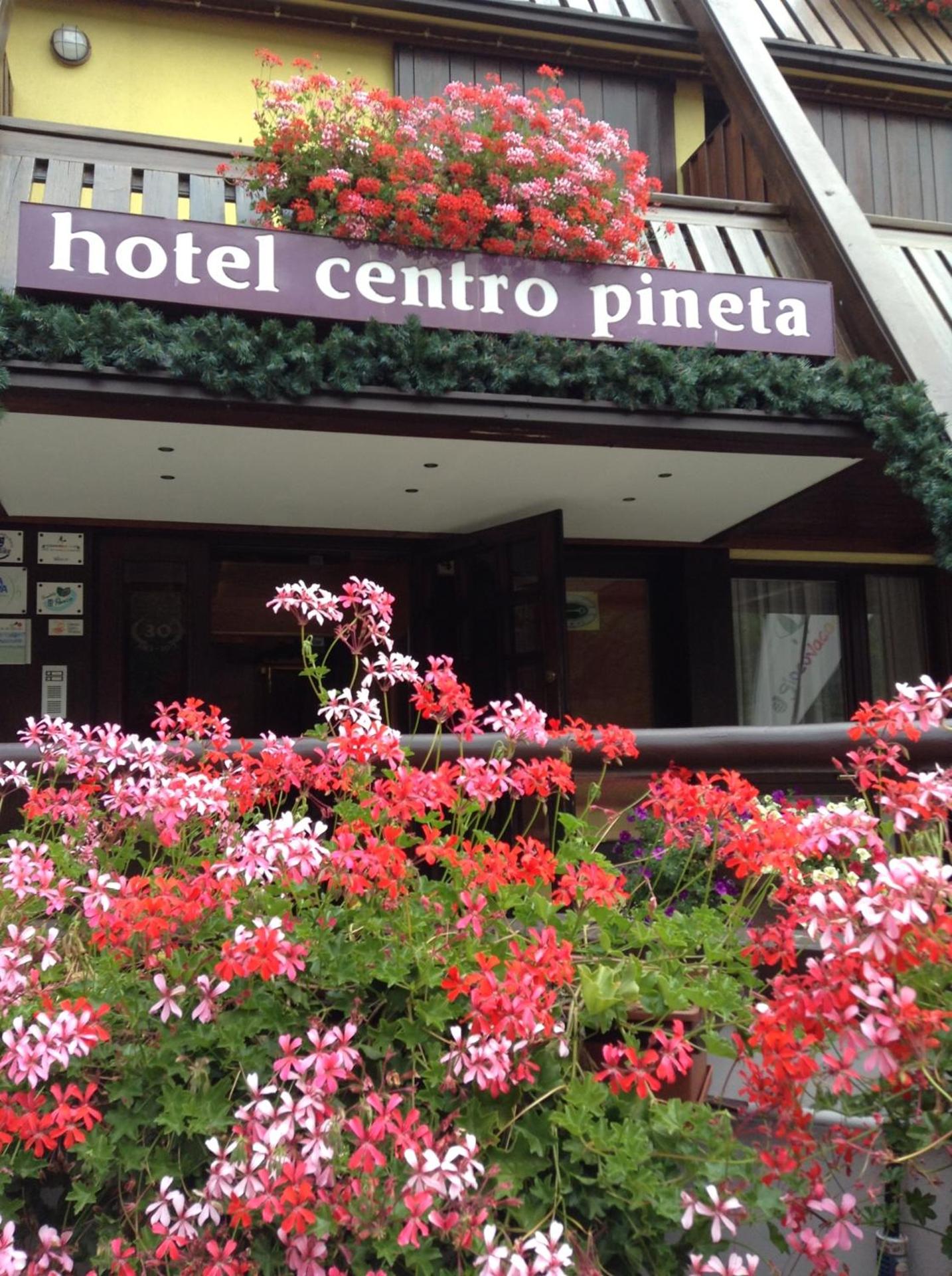Centro Pineta Family Hotel & Wellness - Photo 79