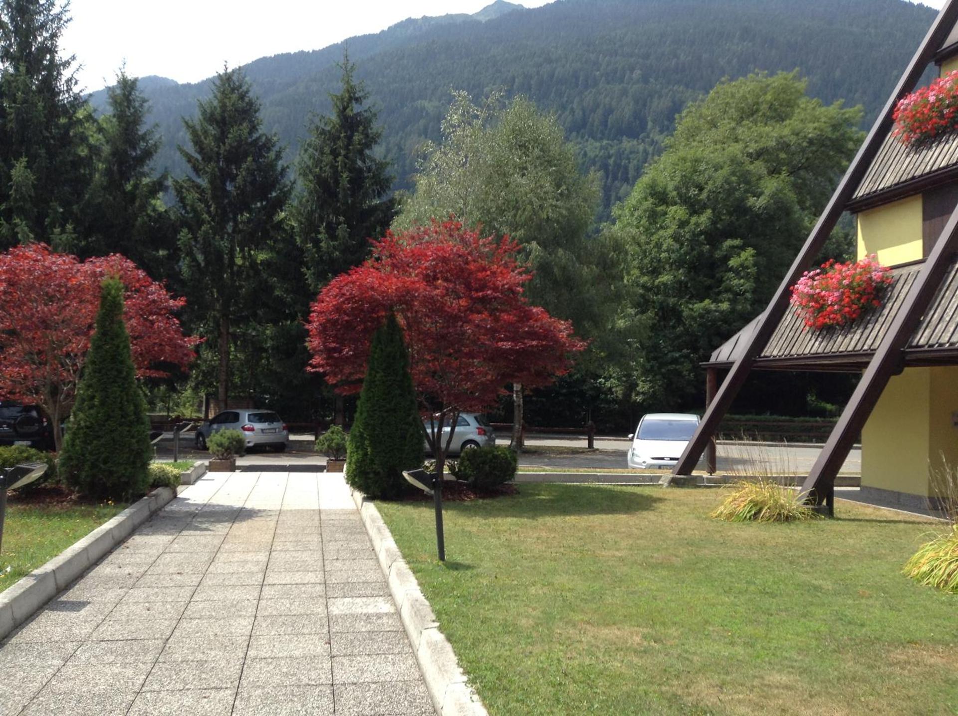 Centro Pineta Family Hotel & Wellness - Photo 87