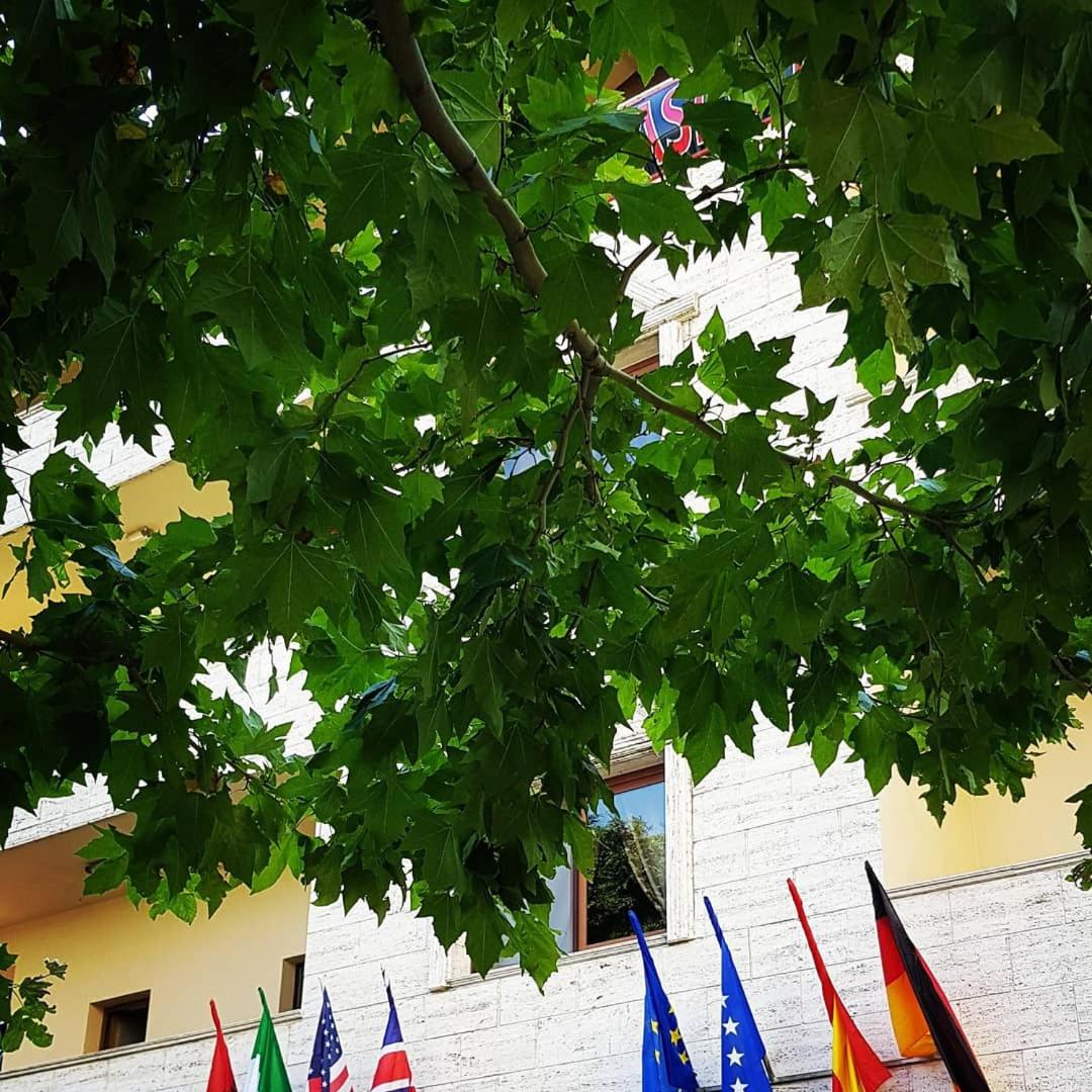 Hotel Ambasador Garden - Photo 131