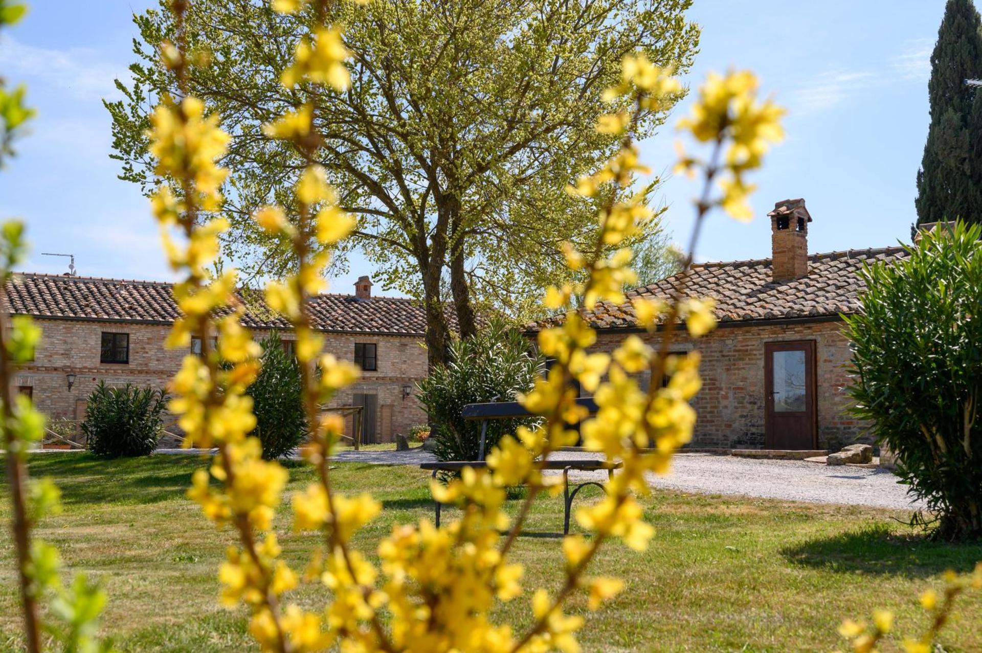 Fattoria Pieve a Salti - Photo 3