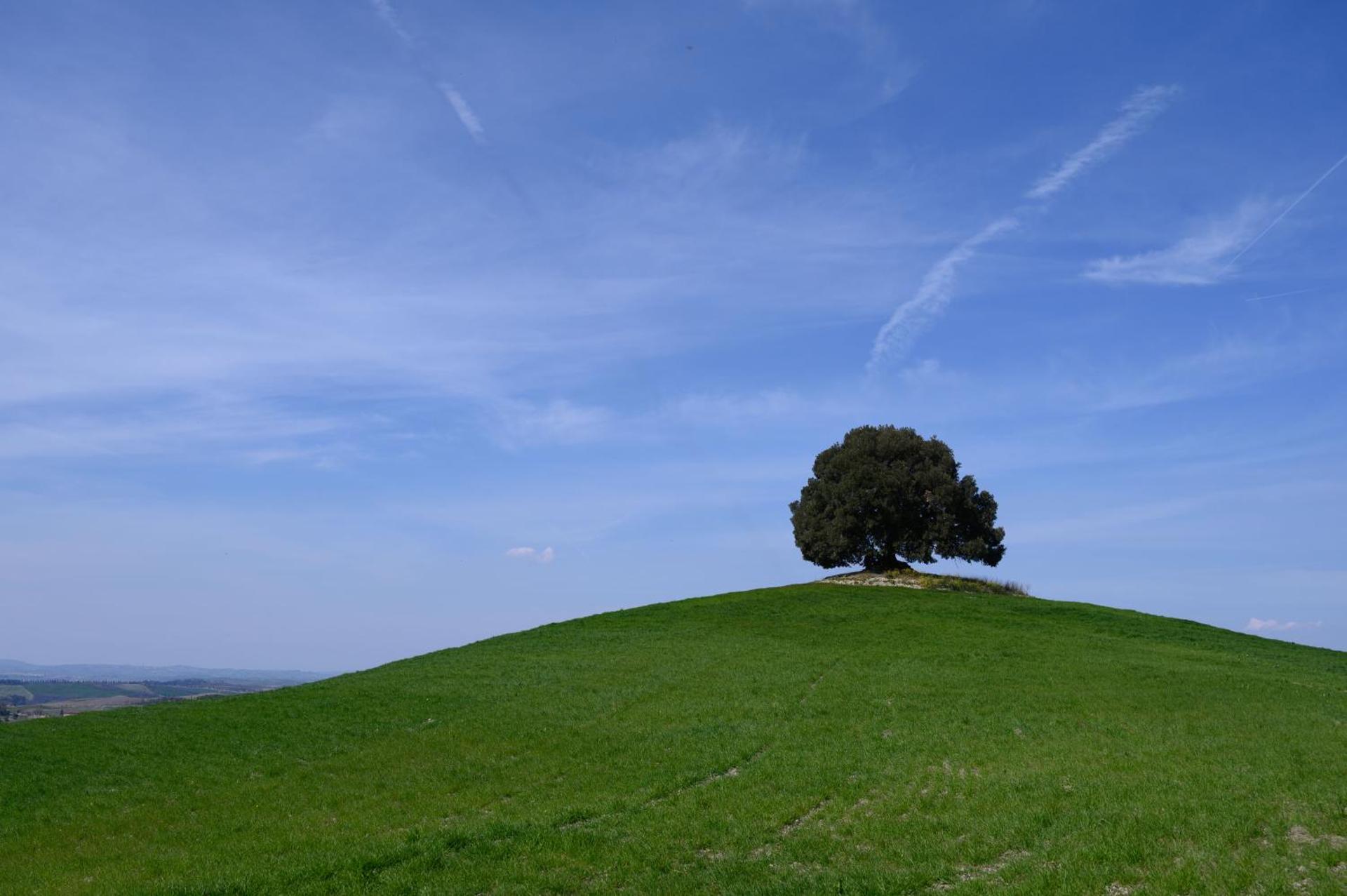 Fattoria Pieve a Salti - Photo 4