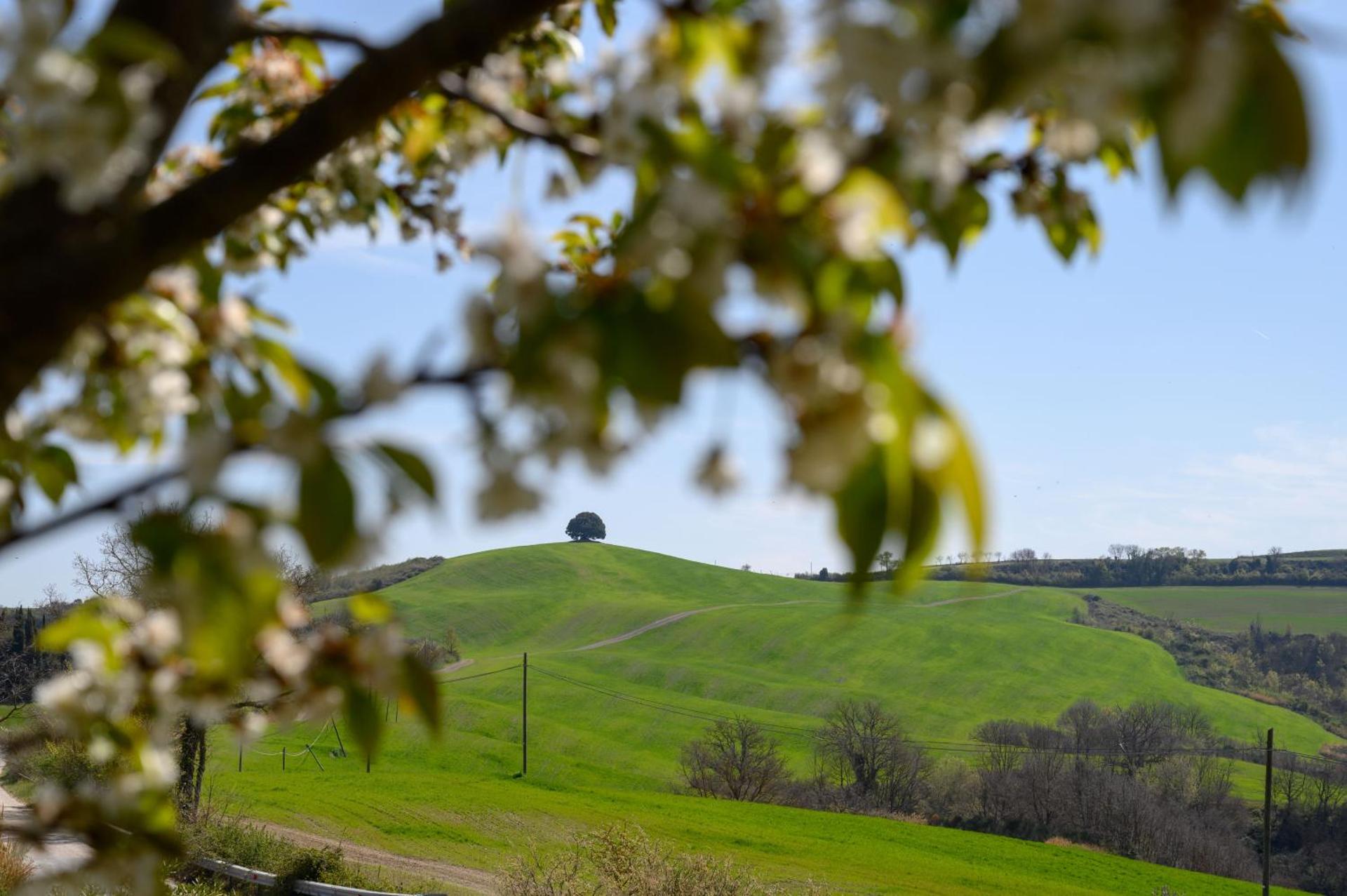 Fattoria Pieve a Salti - Photo 14