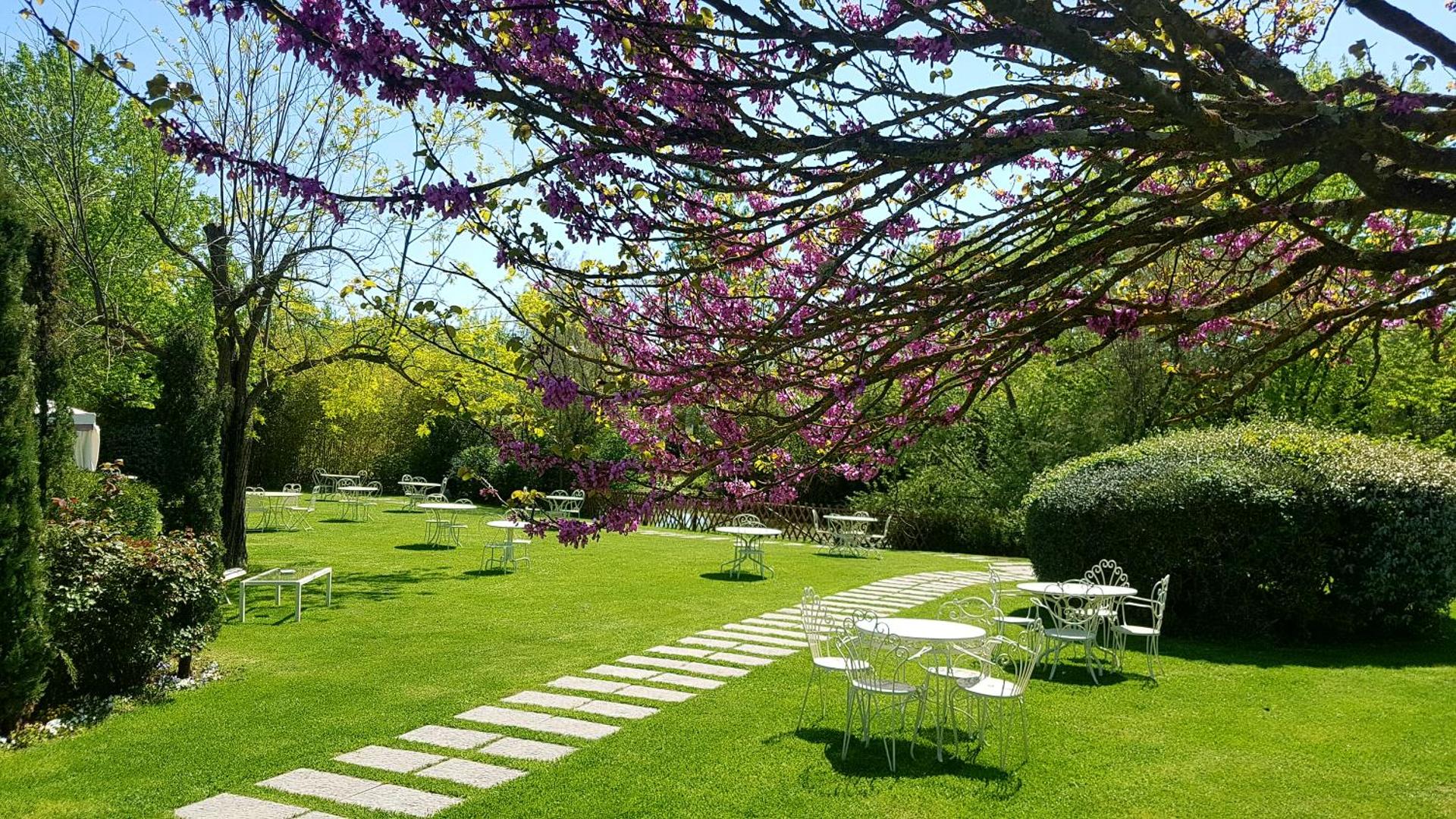 Tenuta i Massini - Photo 90