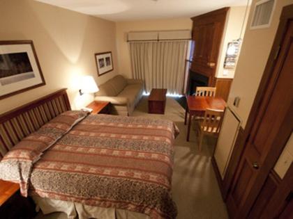 Allegheny Springs - Photo 20