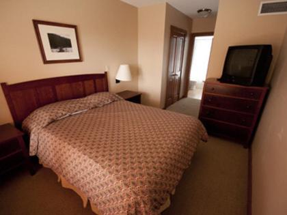 Allegheny Springs - Photo 16