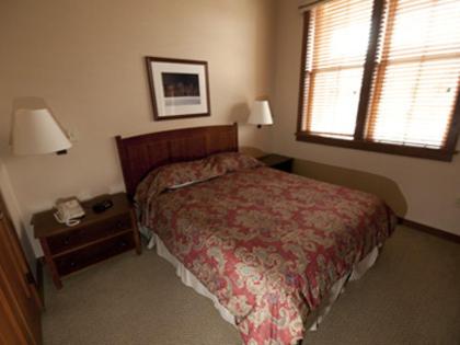 Allegheny Springs - Photo 9