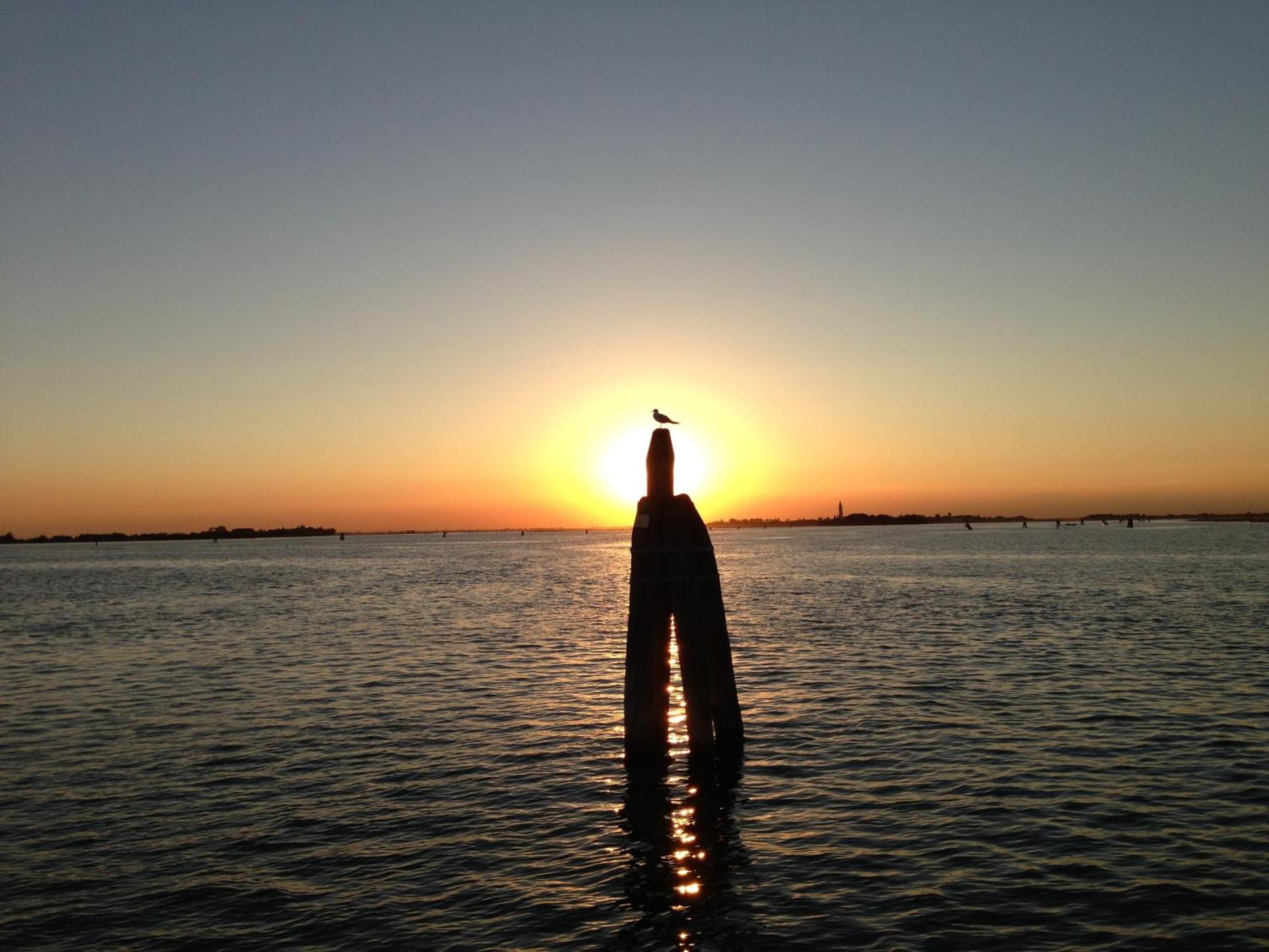 Antica Dogana - Photo 44