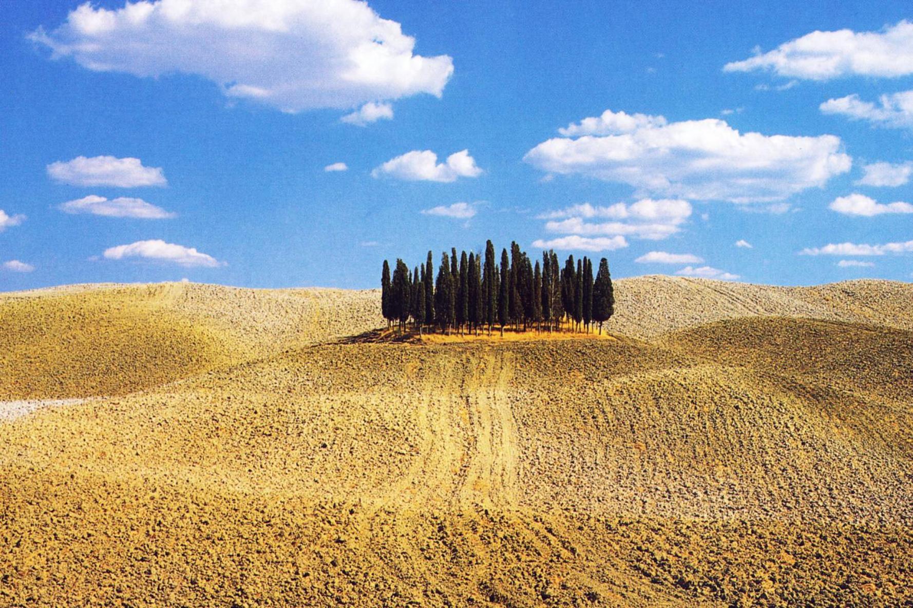 Hotel Palazzuolo - Photo 22