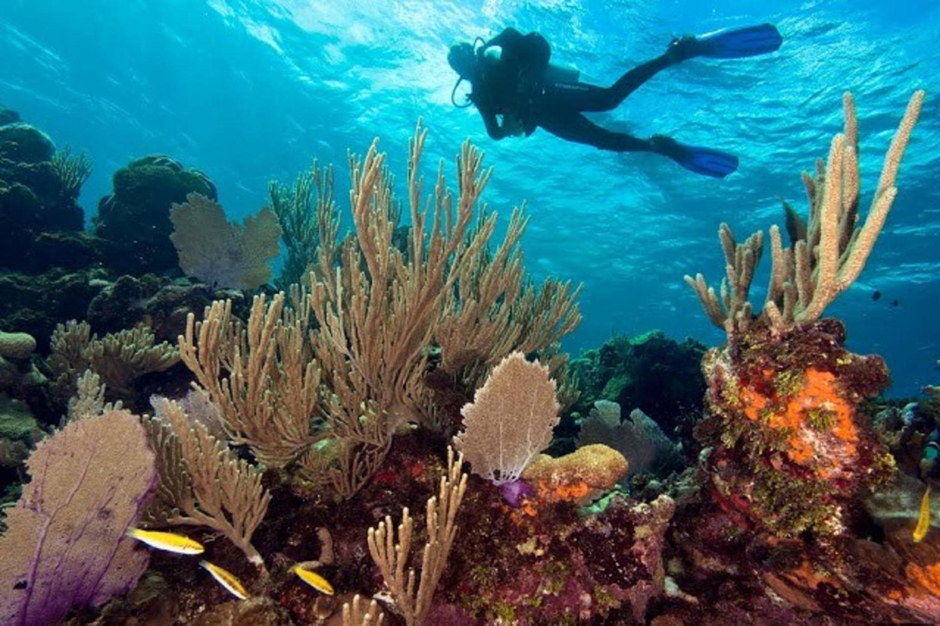 Barefoot Cay Resort - Photo 13