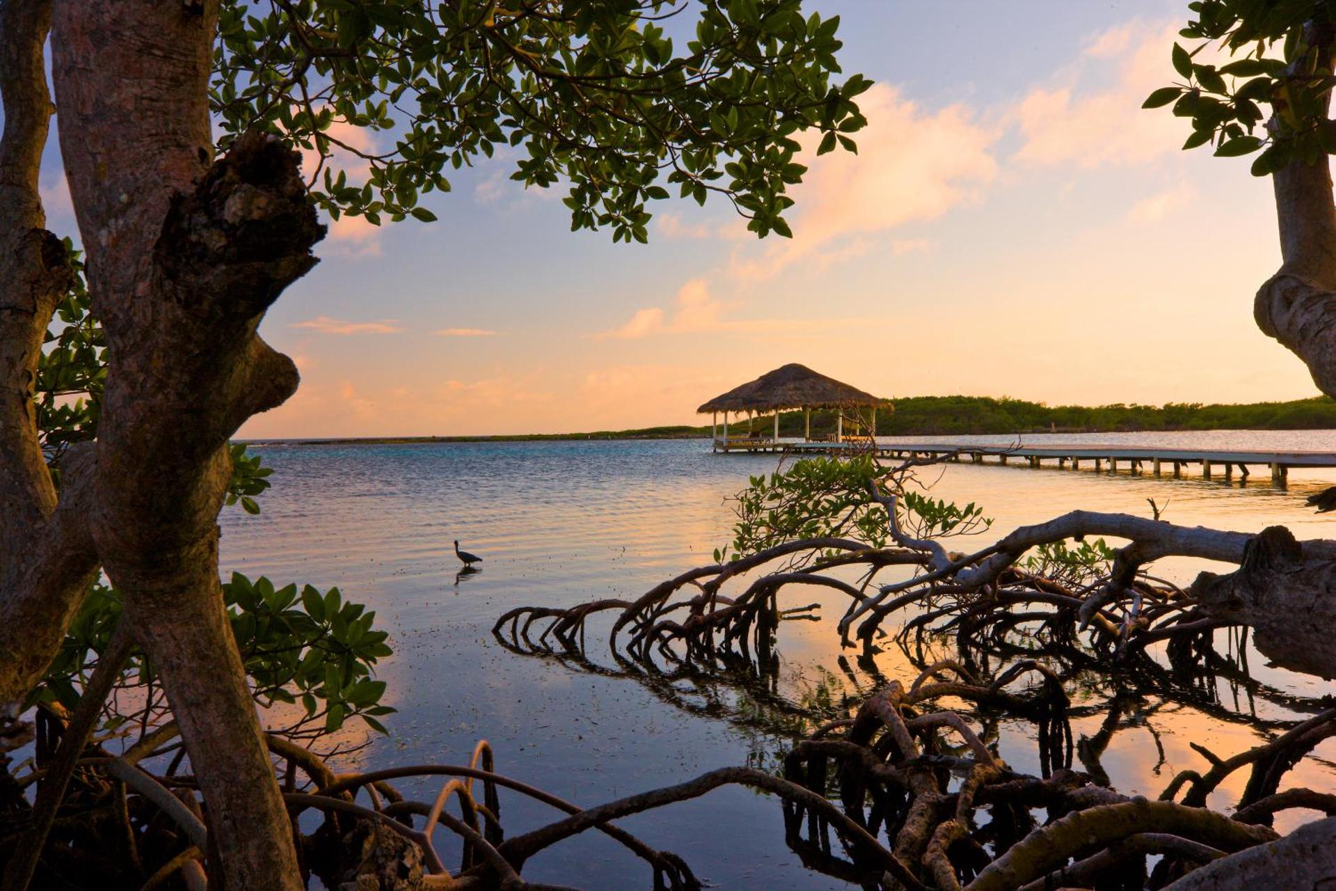 Barefoot Cay Resort - Photo 3