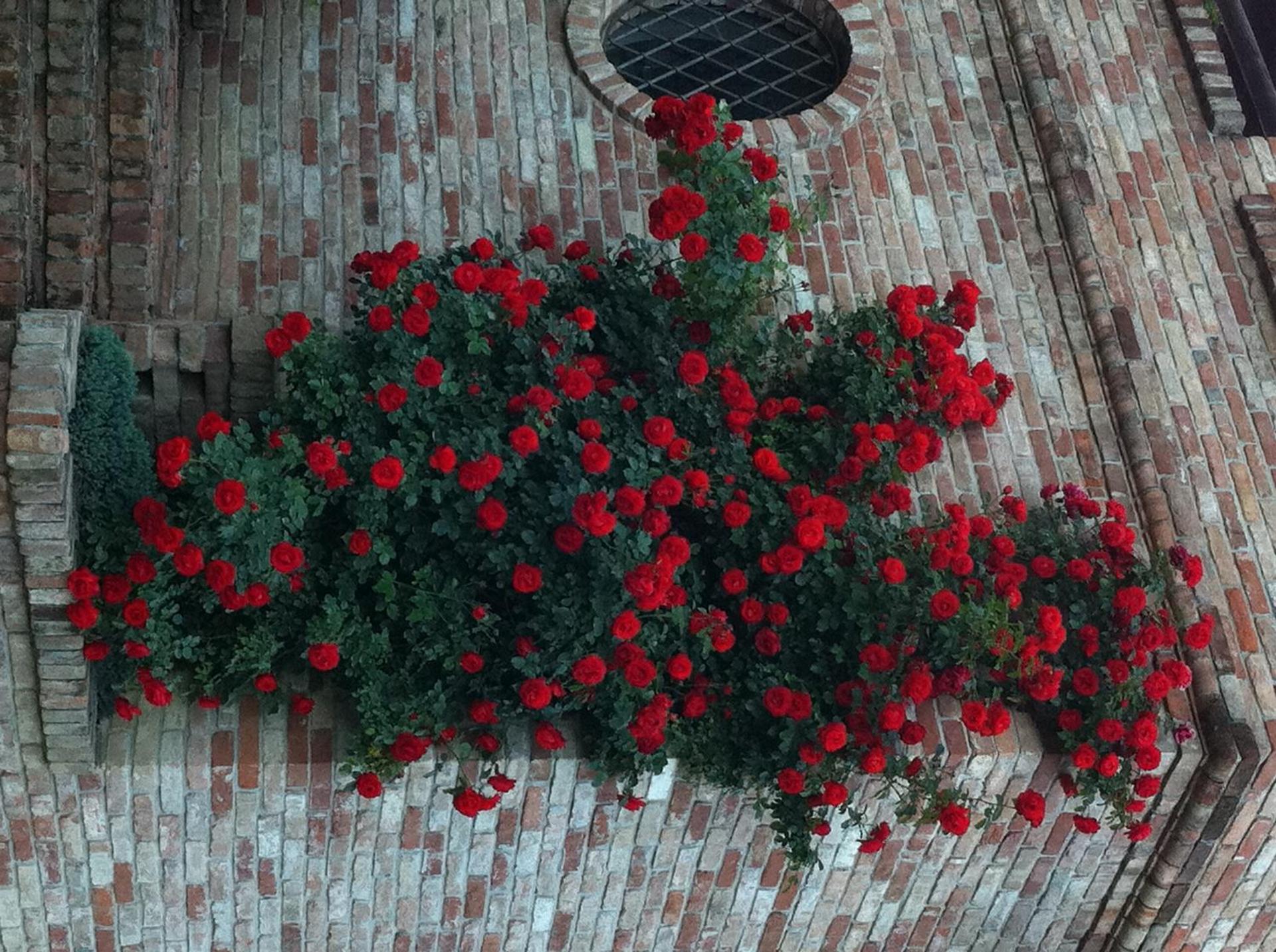 Agriturismo Relais "il Bricco" - Photo 25