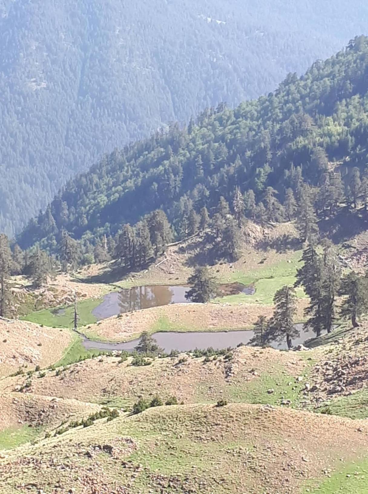 Hotel Olympic - Photo 21