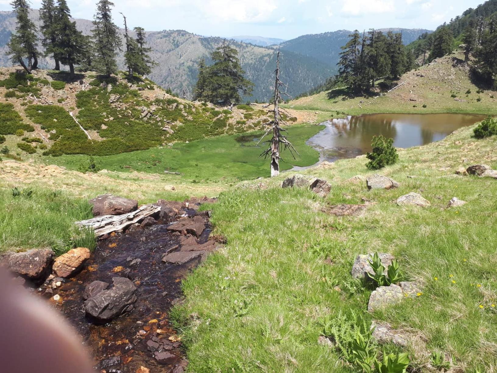 Hotel Olympic - Photo 29