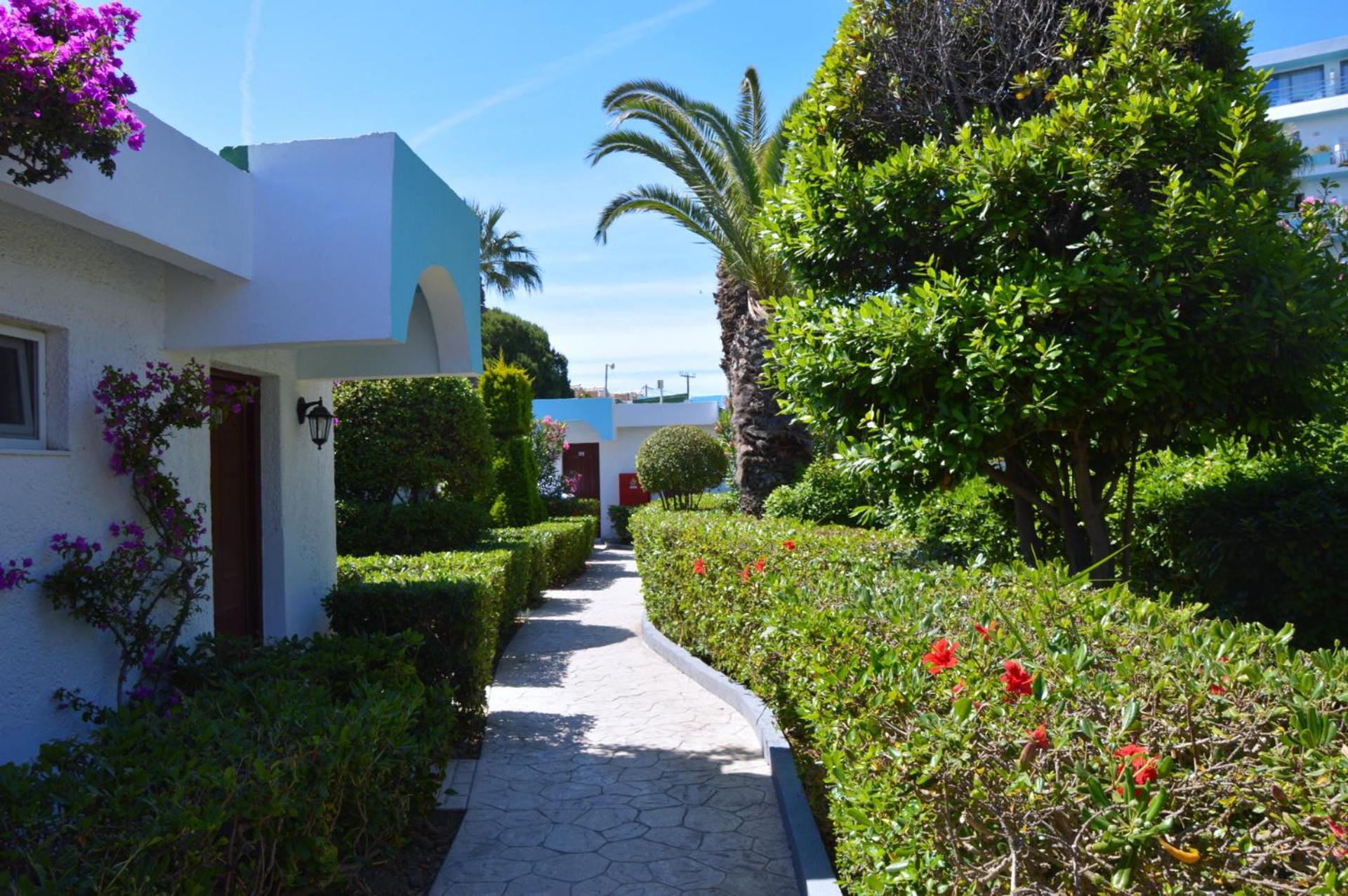 Blue Horizon - Photo 76