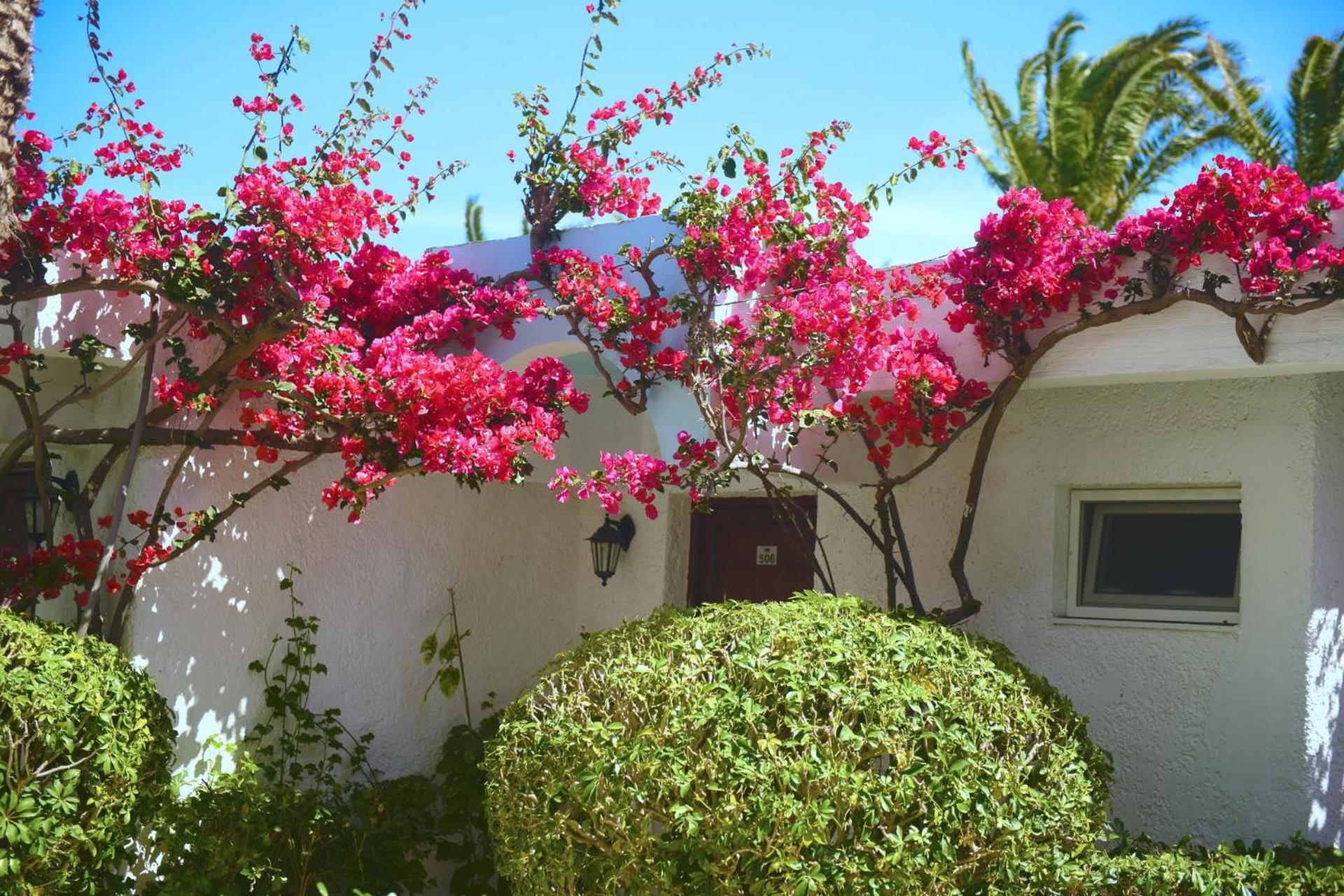 Blue Horizon - Photo 16