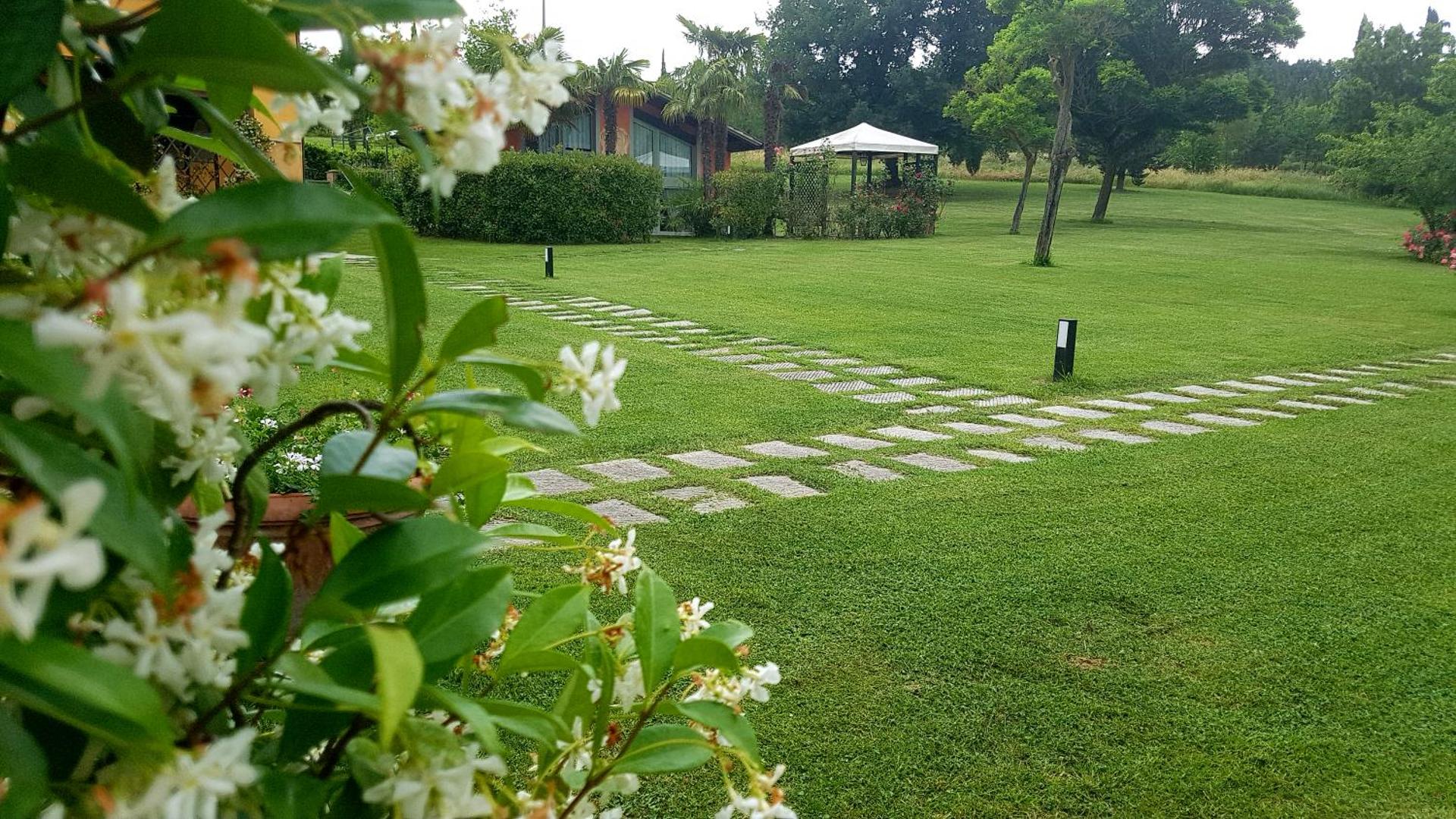 Tenuta i Massini - Photo 88