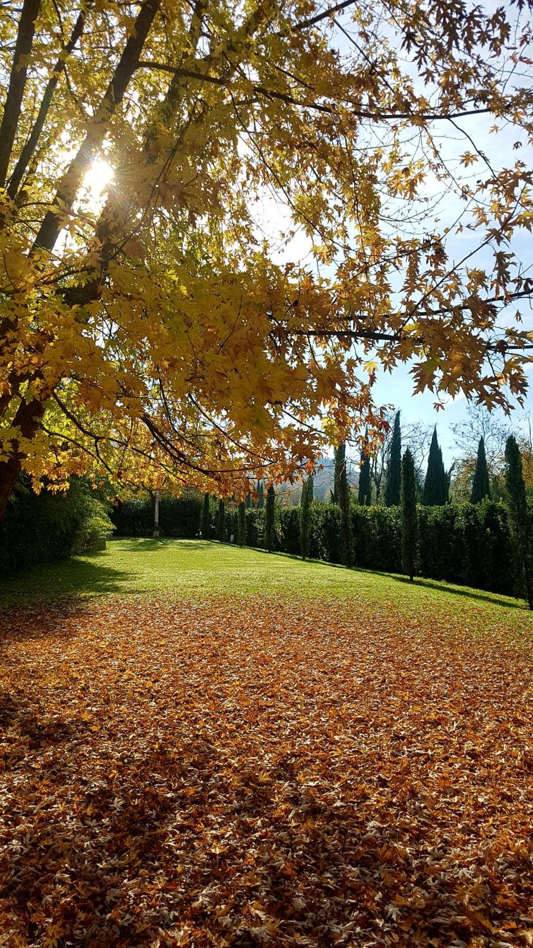 Tenuta i Massini - Photo 85