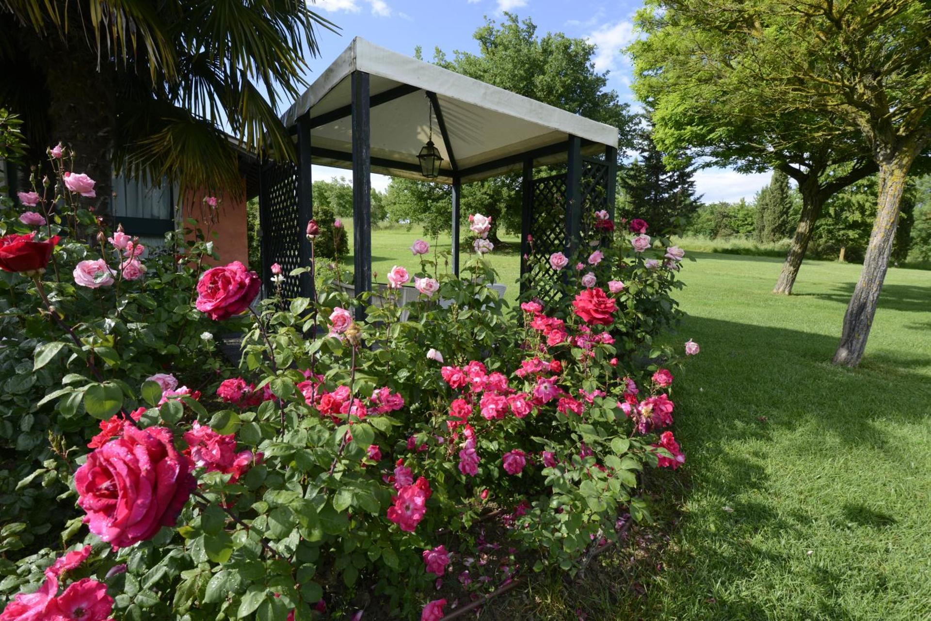 Tenuta i Massini - Photo 73